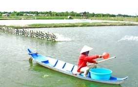 Global GAP và ISO 22000 - “Giấy thông hành” cho thủy sản ĐBSCL xuất khẩu