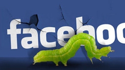 Mạng xã hội -  mục tiêu bị tấn công hàng đầu