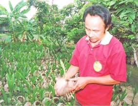 Những nông dân Khmer làm VietGAP