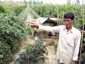 Người nuôi cá tra cần được chia sẻ