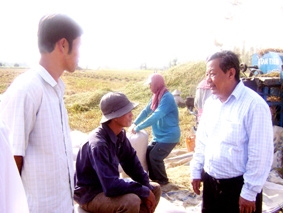 Làm gì để bảo đảm lợi ích cho người trồng lúa ?