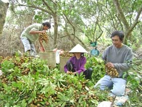 Niềm vui và nỗi lo