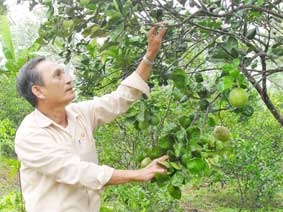 Xuân vui trên đất anh hùng