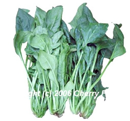 Magiê có thể giúp tăng cường 
trí não