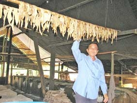 Xóm tàu hủ ky vào mùa hàng Tết