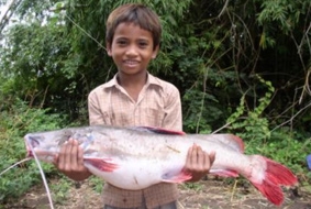 Tiếng nói chung cho dòng MêKông trong lành