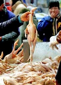 Trung Quốc tuyên bố sẽ trả đũa Mỹ về thương mại