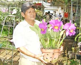 Vườn lan bạc tỉ ở xứ dừa