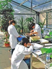 Ngày xuân, bàn về tinh hoa giáo dục đại học của thế giới