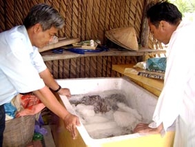 Nơi ấy có hai dòng mặn, ngọt...