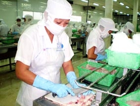 Thị trường sẽ khởi sắc ?