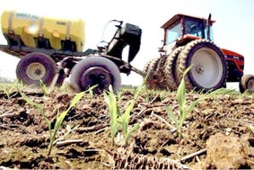 Phân nitơ  con dao hai lưỡi