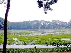 Huyền thoại ao Bà Om