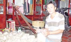 Giúp nhau làm giàu từ nấm bào ngư
