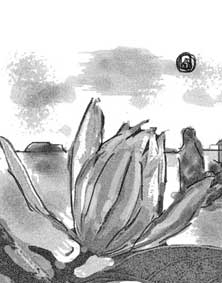 Con đường ngọc lan