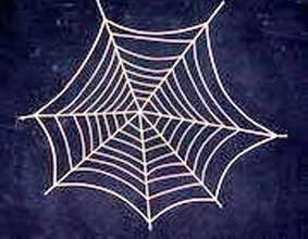 Biến gỗ thành siêu vật liệu nhờ tơ nhện