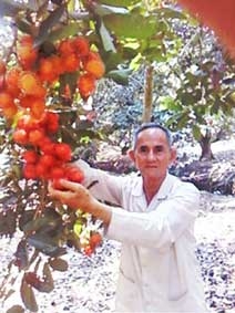 Tỉ phú chôm chôm Sáu Hớn