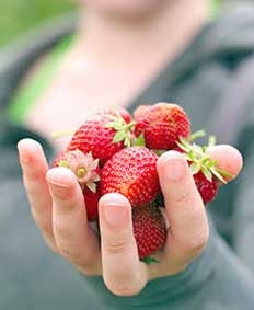 Dâu tây có lợi gì?