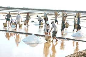 Diêm dân "đuối" vì trúng mùa, rớt giá