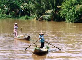 Tìm hiểu về tính cách mở - một đặc điểm của làng xã ở Đồng bằng sông Cửu Long