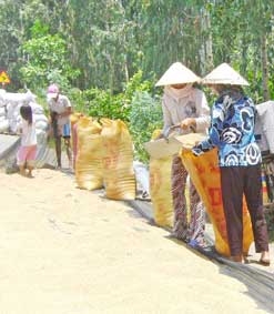 Sẽ hài hòa lợi ích giữa doanh nghiệp và nông dân?