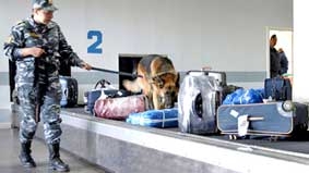 Nên vui hay buồn?