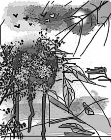 Sông hát 
cho người