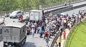 Kẹt xe kéo dài trên cầu Mỹ Thuận do xe tải 
chở bò bị lật