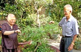 "Trưởng lão" ở khu vực 5
