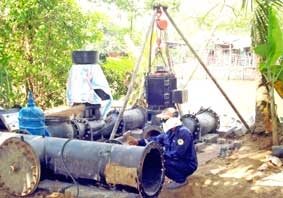 Mặn tấn công "đảo dừa"