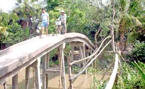 Nơi sáng một chữ “Tình”