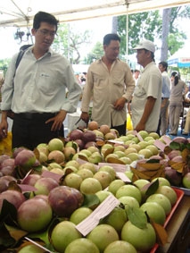 Thiếu trái cây đạt tiêu chuẩn