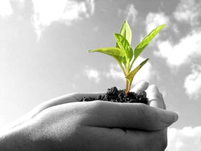 Bảo vệ Trái đất, hãy bắt đầu từ những việc nhỏ