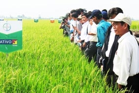 Cần chiến lược, quy hoạch cụ thể