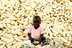 Khoa học có thể tạo ra 
Cách mạng Xanh lần 2