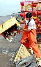 Mỹ đối mặt với thảm họa môi trường "chưa từng có"