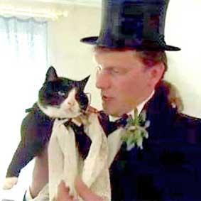 Cưới mèo sắp chết làm vợ