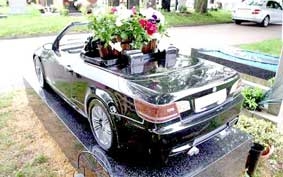 Xe BMW hay nấm mồ?