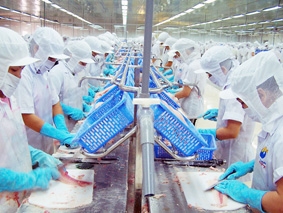 Để đạt mục tiêu trên 4 tỉ USD