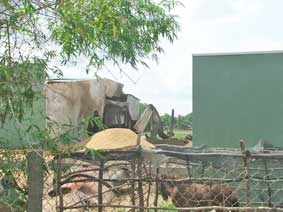 KIÊN GIANG: Nổ bình hơi làm chết 
và bị thương 19 người