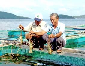 Tạo động lực mới