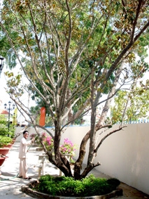 Bác Hồ giữa lòng dân Đất Mũi