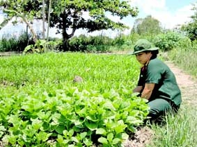 Làm theo lời Bác dạy