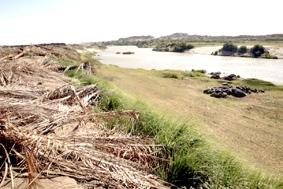 Tranh chấp nguồn nước Sông Nile