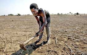 Một nửa thế giới có thể thành sa mạc