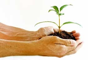 Ăn ít thịt để chống biến đổi khí hậu