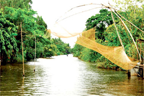 Hiện thực đất rừng U Minh qua truyện kể Bác Ba Phi