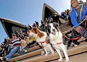 Buổi hòa nhạc không dành cho người