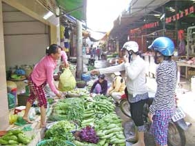 Rau an toàn vẫn chưa có chỗ đứng