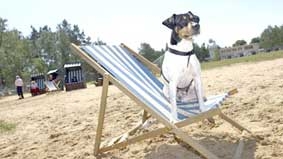 Nơi cún cưng là khách hàng 
đặc biệt